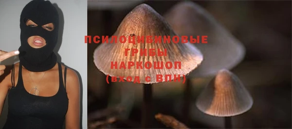 apvp Абаза