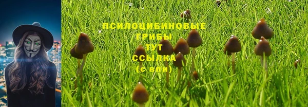 apvp Абаза